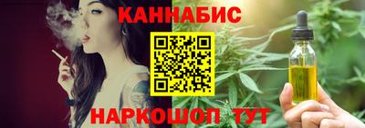 apvp Гатчина