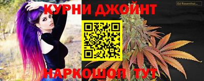не бодяженный Гай