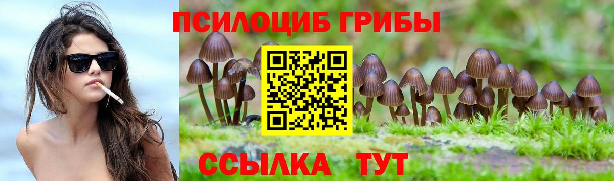 Новокубанск  что такое наркотик  Вход с VPN  Галлюциногенные грибы мухоморы  Псилоцибиновые грибы мицелий 